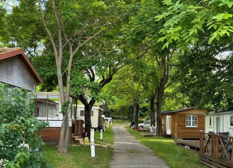 Camping Lou Troumpetoun - 7