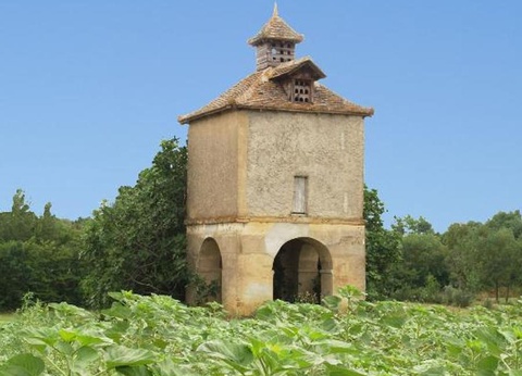 Camping Du Lac de Thoux - Ciela Village, 3* - 21