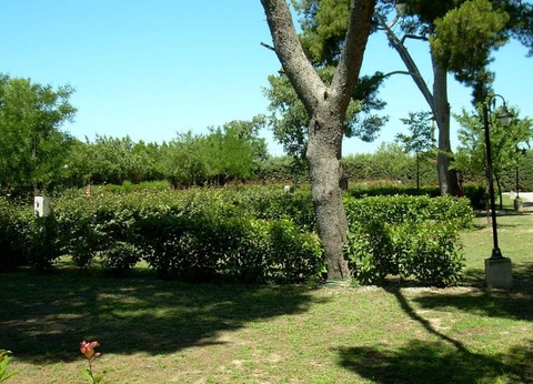 Camping Les Amandiers 4* - 29