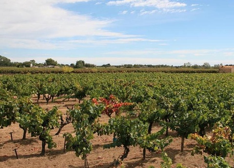 Camping Abri de Camargue, 4* - 80