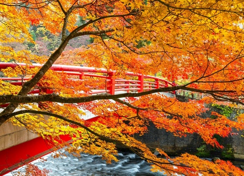 Circuit individuel : Intensément Japon en 3* - 18