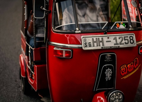 Circuit L'odyssée sri lankaise : l'île aux mille visages - 17