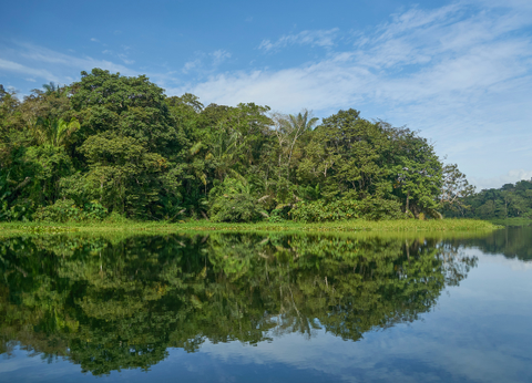 Circuit Dans le Sillage des Corsaires - 30
