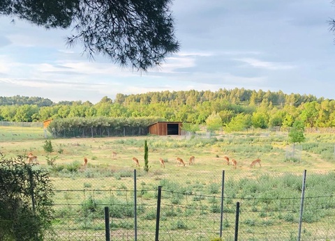 Camping La Grange Neuve, 3* - 34