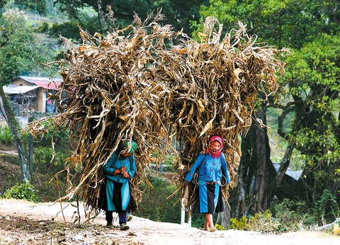 Circuit Mosaïque de cultures - 16