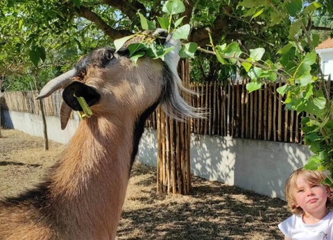 Camping Ushuaïa Villages La Conge, 3* - 8