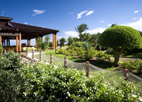 Hôtel Sahara Beach 3* - 18