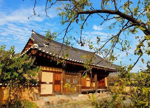 LE ROYAUME DU MATIN CALME EXT JEJU - 3