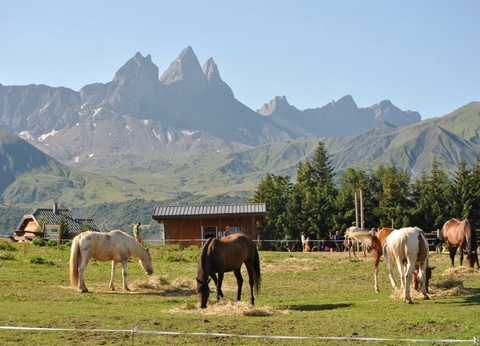 VVF Résidence Albiez-Montrond Maurienne - 10