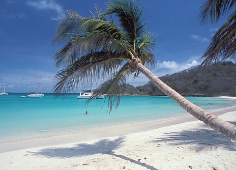 Croisière Dream Caraïbes Premium - 4