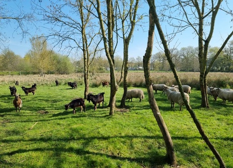 Camping Paradis - Domaine de Bellevue, 4* - 73