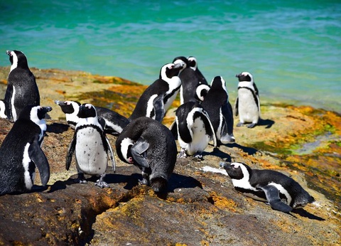 Circuit Sur la piste des Zoulous et extension Victoria Falls - 6