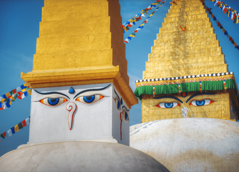 Circuit Sur les pas des Maharajas et le Népal - 22