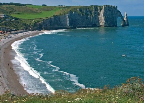 Flower Camping Vitamin, 4* - 34