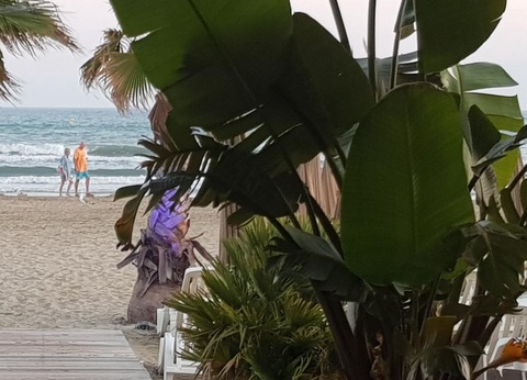 Camping Abri de Camargue, 4* - 97