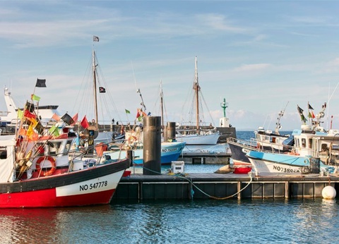 VVF Noirmoutier Les Sableaux - 4