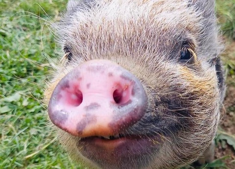 Camping L'Etang du Pays Blanc, 4* - 23