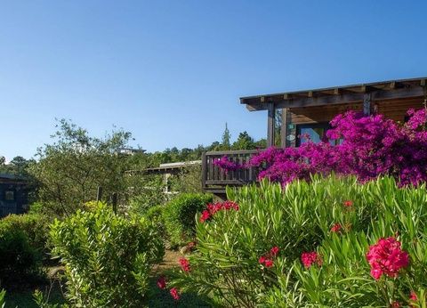 Camping Sole di Sari, 4* - 6