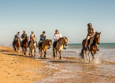 Domaine des Pins, 4* - 31