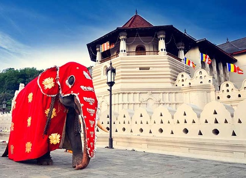 Circuit Le Sri Lanka autrement - 14