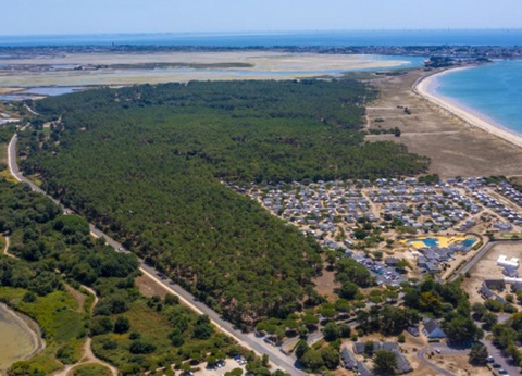 Camping les Chardons Bleus de la Turballe, 4* - 41