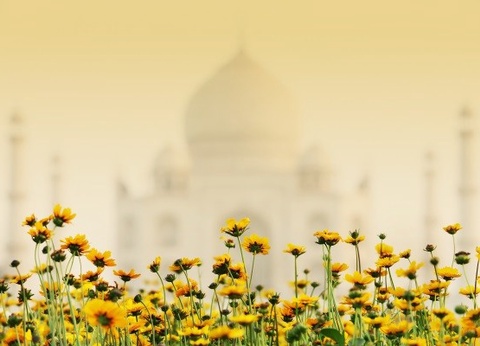 Circuit Trésors du Rajasthan 3* - 15