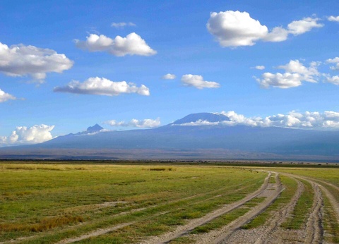 Safari Féeries d'Afrique - 17