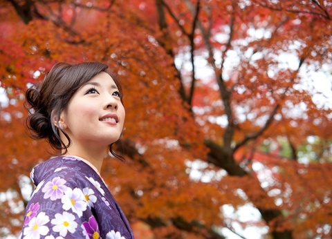 Circuit Splendeurs du Japon - 9