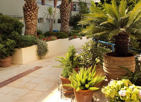 Hôtel Smart Club Ibiscos Garden 4* - 4