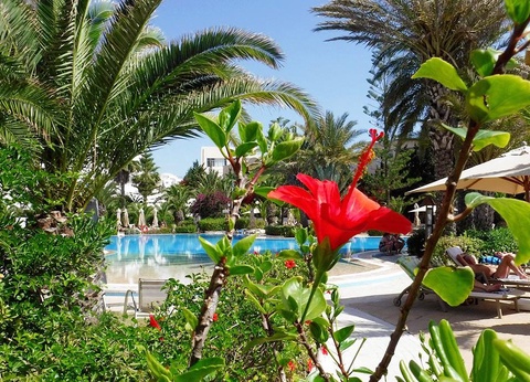 Hôtel Aziza Golf & Thalasso 4* - Adult Only (18+) - 16
