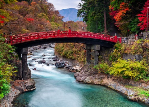 Circuit Traditions et culture du Japon et extension à Nikko - 21