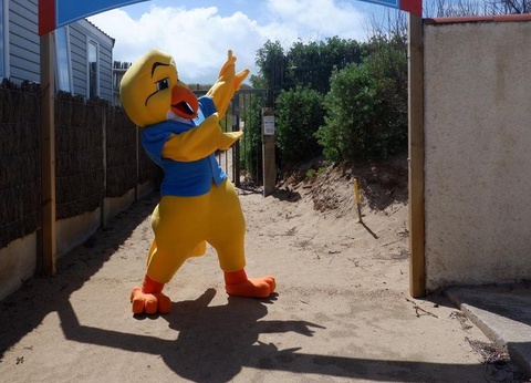 Camping Sol a Gogo, 4* - 12