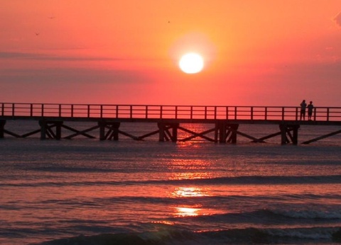 Camping Le Bois Masson 4* - 43