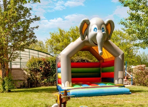 Camping les Etangs du Plessac 4* - 51