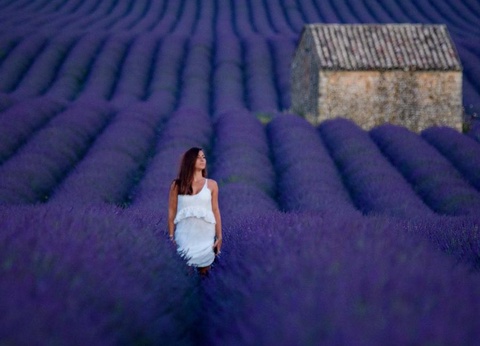 Camping Le Clos de Barbey, 3* - 42