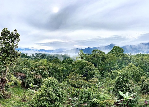 Circuit Sur la Route des Volcans - 16