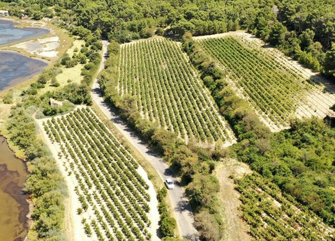 Camping Club La Côte des Roses 4* - MS VACANCES, 4* - 63