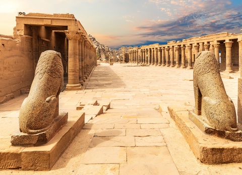 Circuit d'Alexandrie à Assouan - 12