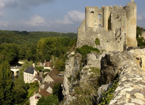 VVF Villages - Le Domaine du Poitou - La Buissière, 3* - 10