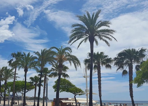 Camping La Llosa - 50