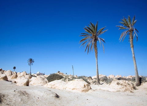 Combiné circuit et hôtel Circuit Plage au Framissima Golf Beach Djerba et désert de Tozeur **** - 22