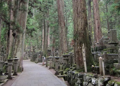 CIRCUIT LE JAPON EN LIBERTE ET NUIT ZEN A KOYASAN - 10