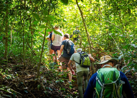 Circuit Du Parc National de Khao Sok aux Sables de Khao Lak - 30