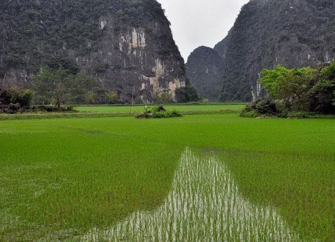 Mosaïque Vietnamienne + extension Angkor, Cambodge - 11