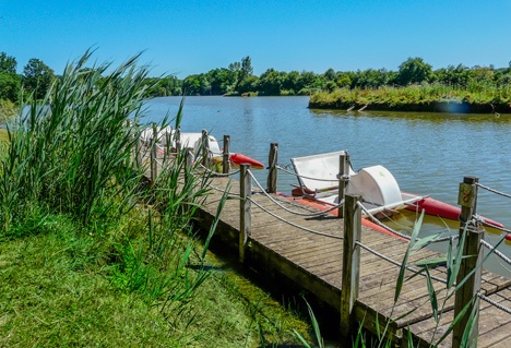 Camping Le Lac aux oiseaux - 9