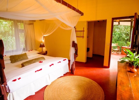 Safari Privatif - Aventure Tanzanienne - 14