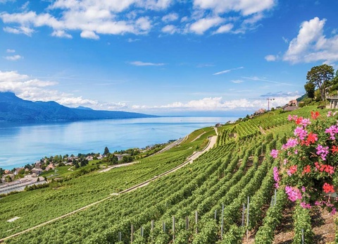 Escapade de saveurs aux portes de Genève - 4* - 9