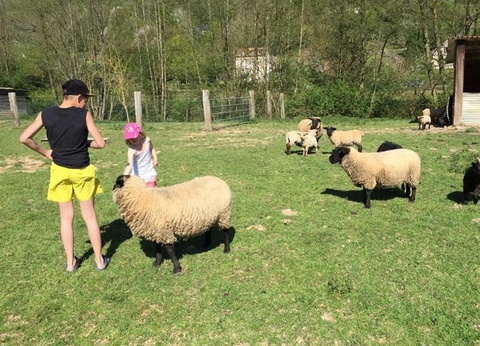 Camping Sites et Paysages - Domaine de la Catinière, 4* - 24