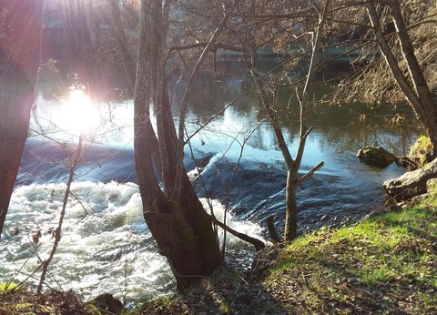 Camping Le Pont d'Allagnon, 3* - 36