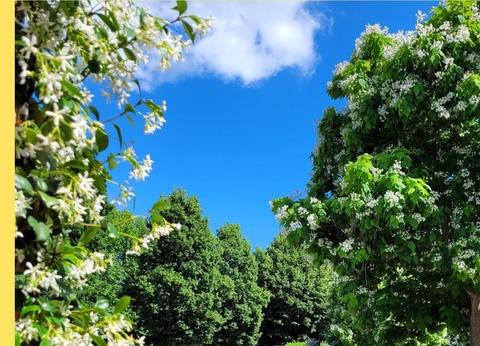 Camping le Soulhol 3* - 21